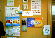 ţƤ޺����ڻ����ֳ������ɼ�1