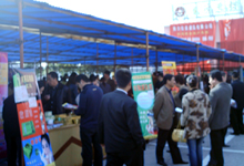 չ�����ֳ���