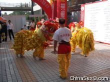 ��ʨǰ������