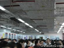 ��¥Ҳ������