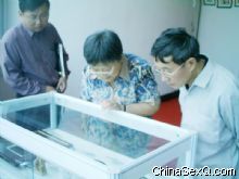 ����ۿ�������