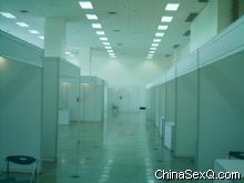 չ�������