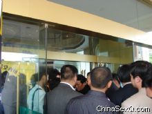 ������ϵ������