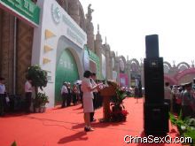 ��Ļʽ����