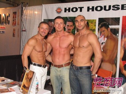 2010��˹ά��˹����չ�ֳ�ģ��