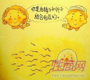 �ײ��Խ����̲ĳ�¯ �ҳ������ɫ����