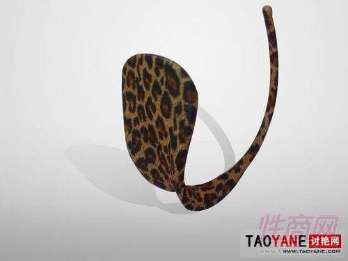 C�ֿ�ĸ����ʽͼƬ20