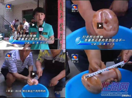 Ů������������ο����������֥