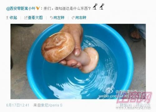 Ů������������ο����������֥