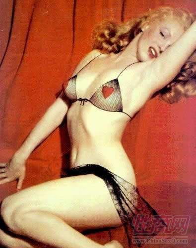 ��������¶