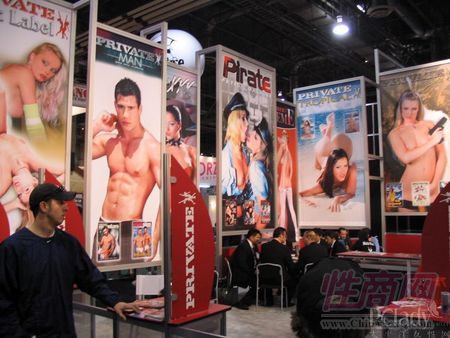 ��˹ά��˹����չ�Ը�ģ��