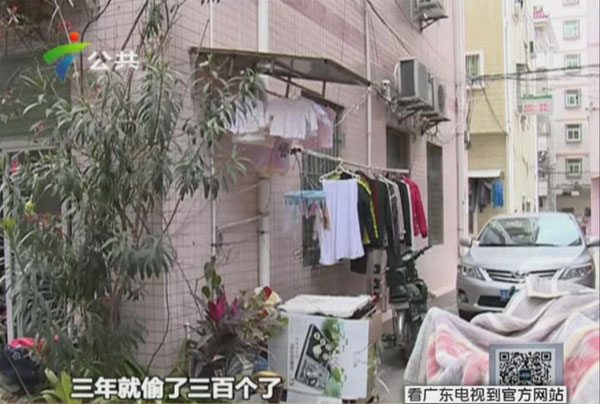 深圳市偷内衣_深圳市内衣行业协会(2)