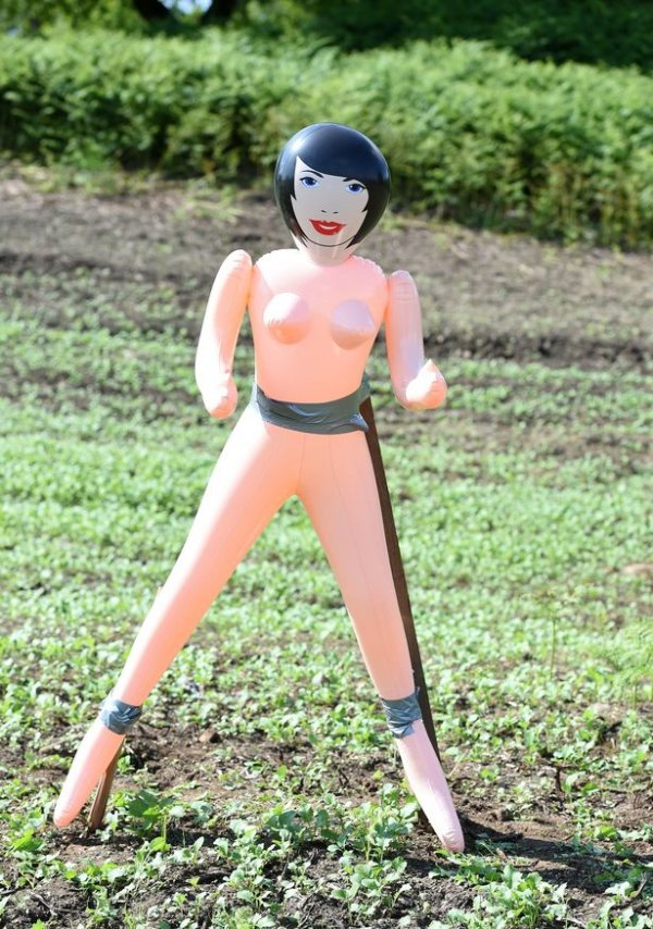 ������Ч�����ã����Գ�������