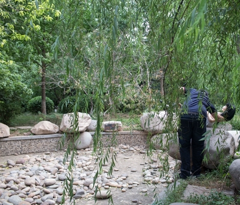 �β���������ȥ��������