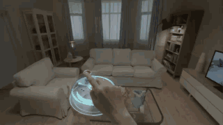剁手!都进来感受一下淘宝VR黑科技Buy+(图5) 剁手!都进来感受一下淘宝VR黑科技Buy+(图5)