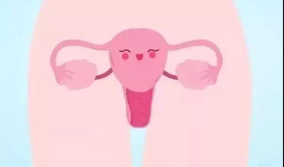 卵巢“亮红灯”?备孕想要“有卵”用,请这样保养卵巢!
