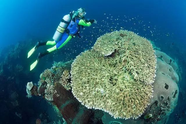 ���ɣ����嵺������Ҫע��ʲô��