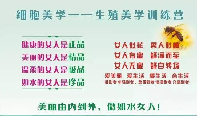 美学原理讲的是什么情况_铁画艺术美学是什么(3)