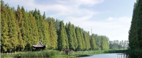 ������Ʒ����Ŀ�������Ǯ��