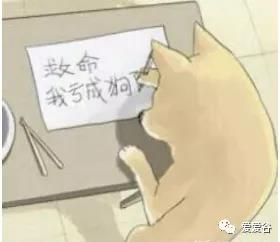 ̽����|�����������΢�̣���Ȥ��Ʒ/������Ʒ��Ŀ���е���ã