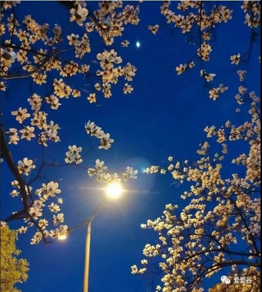 2021�꣬��ͨ�˻�����Щ��ҵ���᣿