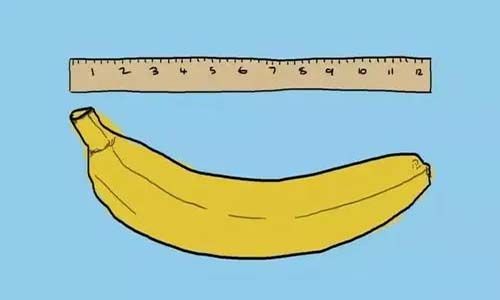 S-HANDE | ��ǩ�䳤�����