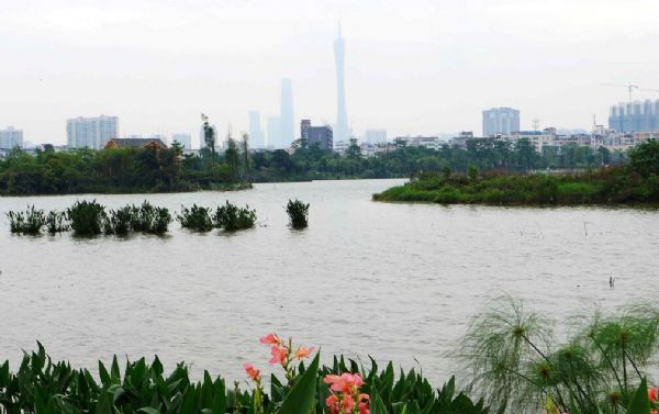 成人用品店老板创业心得分享:很欣慰! 成人用品店老板创业心得分享:很欣慰!