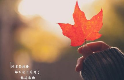 ������Ʒ�г�����-��ҵ�����뷢չǰ��