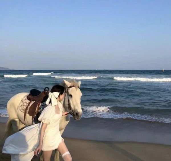 ������Ʒ������Ҫʲô����