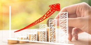 2023������³�����Ʒ��ҵ������