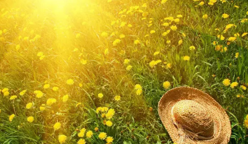 ���˳�����Ʒ��ҵ������ʲô����ô������