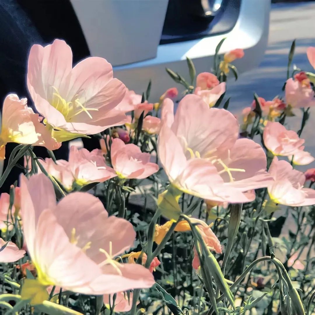 �����봴ҵ��������Ʒ���˵�׬Ǯ�𣿳�����Ʒ��ҵ�ķ�չ��ô��?