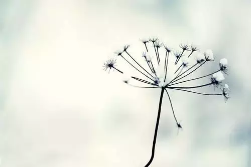 ����������Ʒȥ���������һ������¼�������������