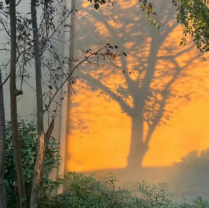 ���䳯���������ϰ�����ӣ��������ϰ����ʱ��������ҵ