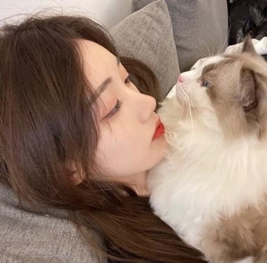 ��ʲô������ְ��ѡ�񿪳�����Ʒ�ꣿ