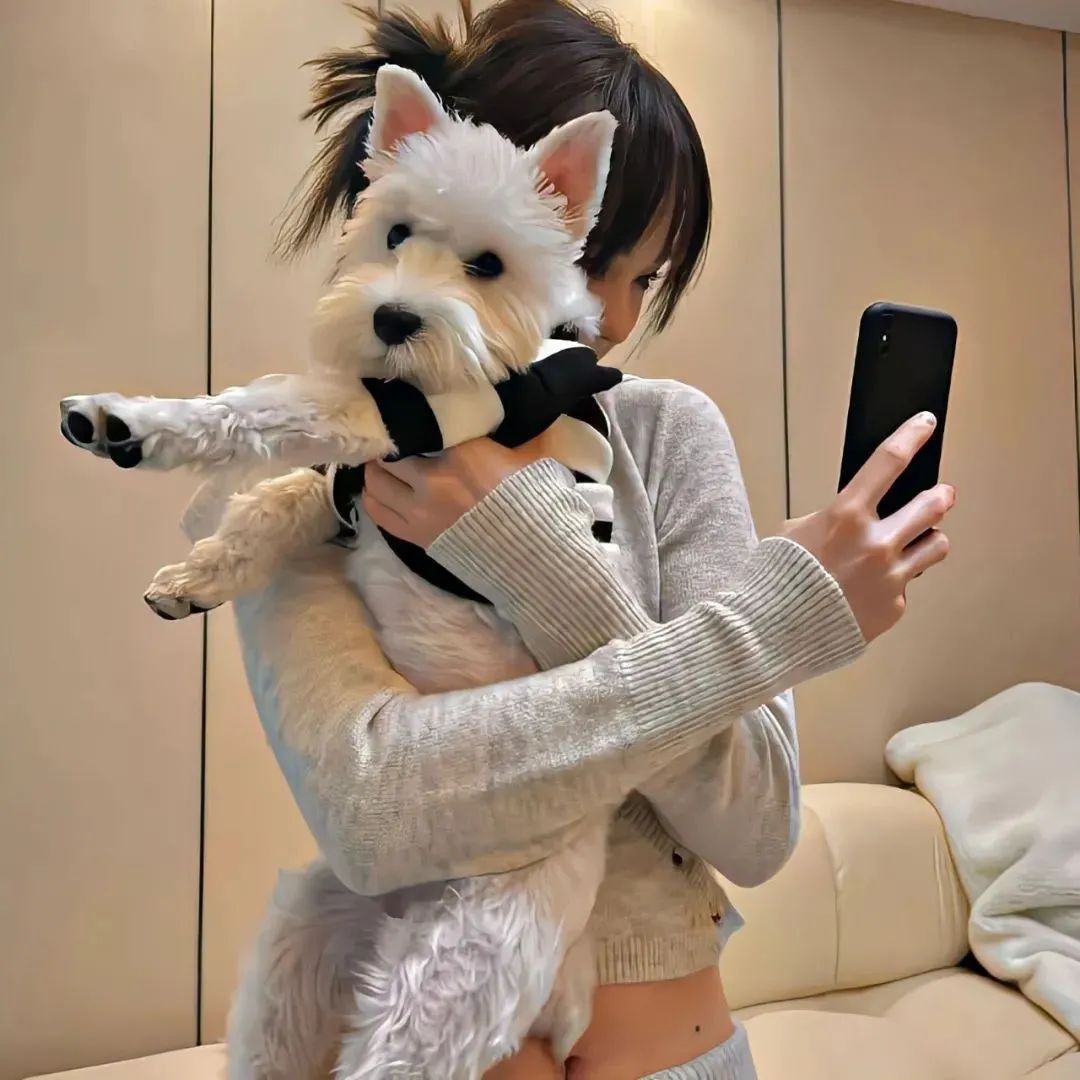 新手创业代理成人用品网店如何推广?有什么方法? 新手创业代理成人用品网店如何推广?有什么方法?