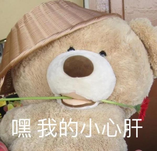 2022�������Ʒ���˵��·��򡪡�����������