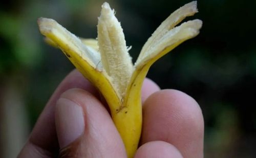 ��������Ҳ���Ի�ú�г��**��