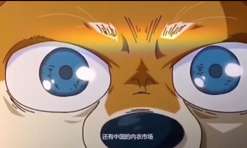 世界情趣产业之王在中国? 世界情趣产业之王在中国?