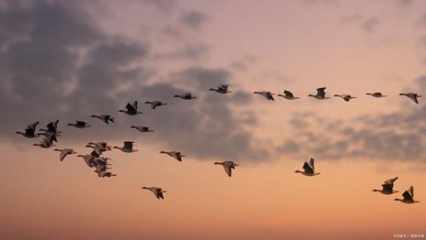 24小时无人成人用品店投资需要多少钱?投资成本高不高啊? 24小时无人成人用品店投资需要多少钱?投资成本高不高啊?