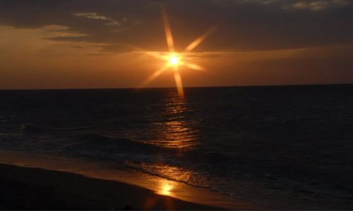 成人用品网店店铺该如何提高排名? 成人用品网店店铺该如何提高排名?