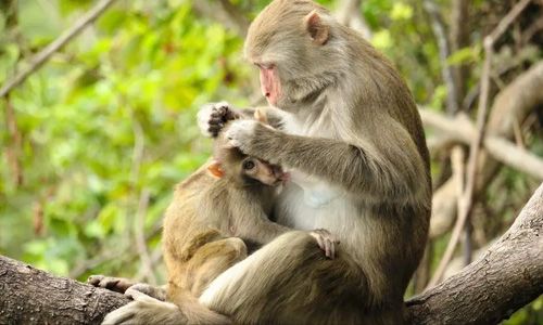 ʲô��ҵ�����׬Ǯ�죿