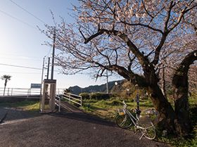 ������Ʒ��ҵ�����Ӧ����ν��룿