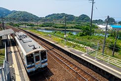 ������ƷΪʲô��ô��