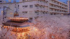 ������Ʒ��ҵ����ߣ����ü������⣬���뼸����С����