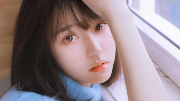 2022-2028���й���Ȥ��Ʒ������ҵ�����뷢չǰ������