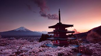 ������������Ʒ����׬Ǯ�𣿹����Թ����𽥿���