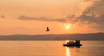 ������Ʒ΢�̣�������ҵ��˦�����֣�