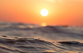 ������Ʒ��������������Ҫע����Щ����?