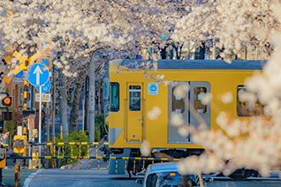 24Сʱ�����ۻ����������߶�Զ�������רҵ�Ƕ�ȥ��